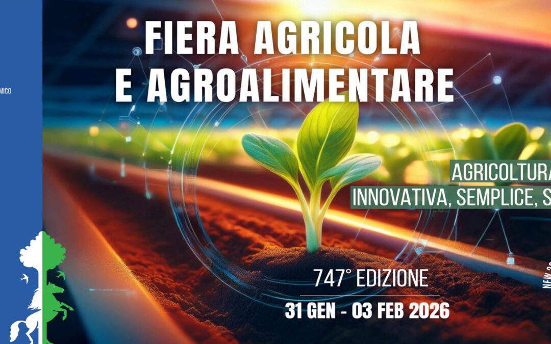 Fiera di San Biagio a Bovolone 2026: dove alloggiare dal 31 gennaio al 3 febbraio